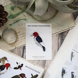 Red-Headed Woodpecker Patch