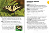 Butterflies of the Midwest Field Guide (Butterfly Identification Guides)