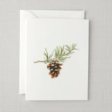 Evergreen Notecard Set