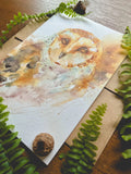 Barn Owl Watercolor A7 Greeting Card