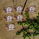 Patch | Slow Down Snail