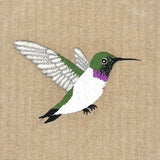 Black-Chinned Hummingbird Field Bag