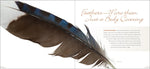 Feathers: A Beautiful Look at a Bird's Most Unique Feature