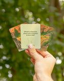 Campfire Conversation Starters - Deck of Cards + Storage Tin