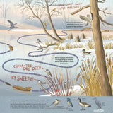 What Goes on Inside a Beaver Pond? by Becky Cushing Gop
