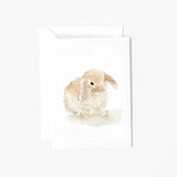 Bunny Mini Enclosure Notecard by Emily Lex