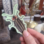 Glow-In-The-Dark Lightning Bug/Firefly Waterproof Sticker