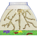Original Ant Hill™ with Voucher
