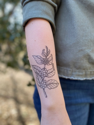 Coffee Plant Temporary Tattoo