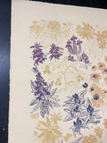 Autumn Wildflowers Screenprint 22x22in