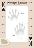 Animal Tracks of the Midwest Playing Cards