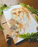 Barn Owl Watercolor A7 Greeting Card