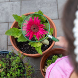 Oversized Handheld 2x Magnifying Glass- Stem Tool For Kids