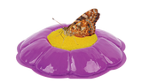 Butterfly Garden® Homeschool Edition with Prepaid Voucher