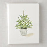 Evergreen Notecard Set