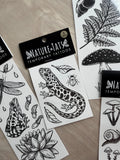 Salamander Temporary Tattoo