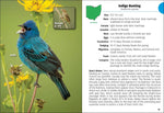 Birds of Ohio Field Guide by Stan Tekiela