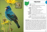 Birds of Ohio Field Guide by Stan Tekiela