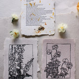 Ranunculus Letterpress Art Print