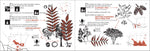 Tree Finder: A Manual for Identification of Trees by Their Leaves (Eastern US) (Nature Study Guides)