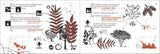 Tree Finder: A Manual for Identification of Trees by Their Leaves (Eastern US) (Nature Study Guides)