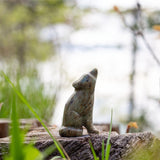 Bear & Wolf Soapstone Carving Kit