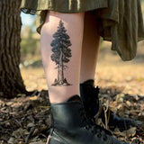 Redwood Temporary Tattoo