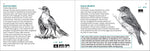 Bird Finder: Identifying Common Birds of Eastern North America (Nature Study Guides)