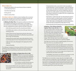 Outdoor Survival: A Guide to Staying Safe Outdoors (Adventure Skills Guide)