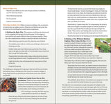 Outdoor Survival: A Guide to Staying Safe Outdoors (Adventure Skills Guide)