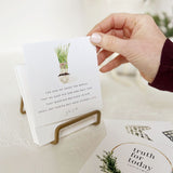 Christmas Truth For Today Cards