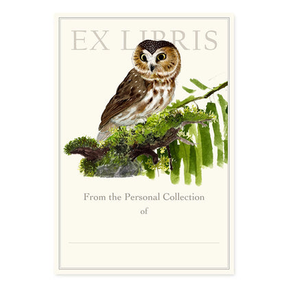 Saw Whet Owl - Bookplates