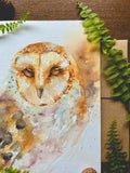 Barn Owl Watercolor A7 Greeting Card