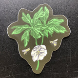 Flowering Mayapple Sticker