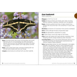 Butterflies of the Midwest Field Guide (Butterfly Identification Guides)