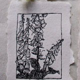 Ranunculus Letterpress Art Print