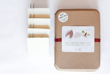 Moth Felting Craft Kit by Sheep Creek Studio