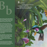 F Is For Feathers: A Bird Alphabet by Helen L. Wilbur