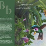 F Is For Feathers: A Bird Alphabet by Helen L. Wilbur