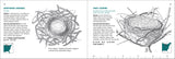 Bird Nest Finder: Identifying Aboveground Bird Nests in Eastern North America (Nature Study Guides)