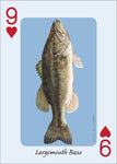 Fish of the Midwest Playing Cards (Nature's Wild Cards)