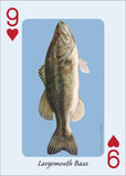 Fish of the Midwest Playing Cards (Nature's Wild Cards)