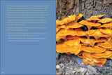 Start Mushrooming: The Reliable Way to Forage by Stan Tekiela