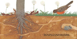 Wonderful Worms by Linda Glasser