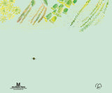 Flower Talk: How Plants Use Color to Communicate by Sara Levine, Masha D'Yans