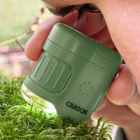 20x Lighted Pocket Microscope Keychain For Children