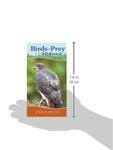 Birds of Prey of the Midwest: Your Way to Easily Identify Raptors (Adventure Quick Guides)