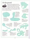 Ultimate Sticker Book: Reptile: More Than 60 Reusable Full-Color Stickers