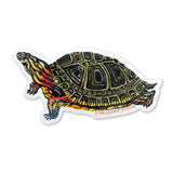 Painted Turtle Vinyl Sticker