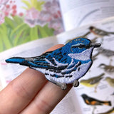 Cerulean Warbler Patch